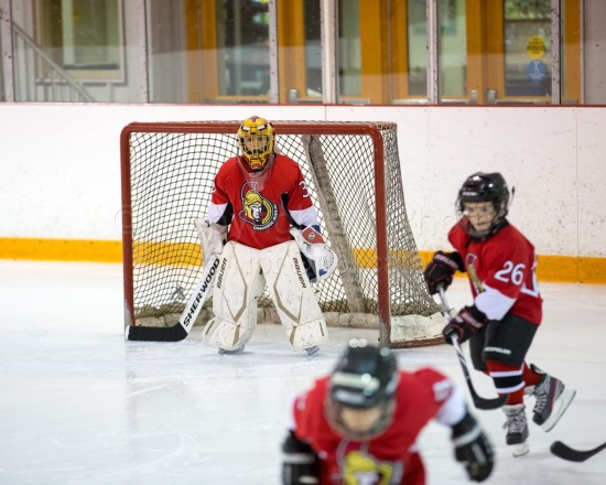 2016 Kemptville Novice C Tournament